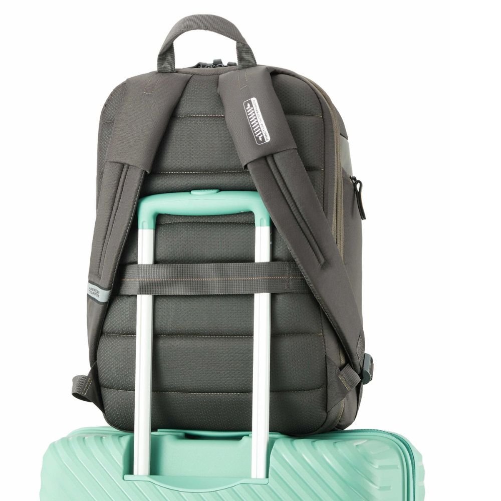 American Tourister Urban Plus Olive Laptop Backpack