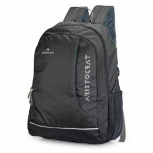 Aristocrat Zing 03 Laptop Backpack Bag