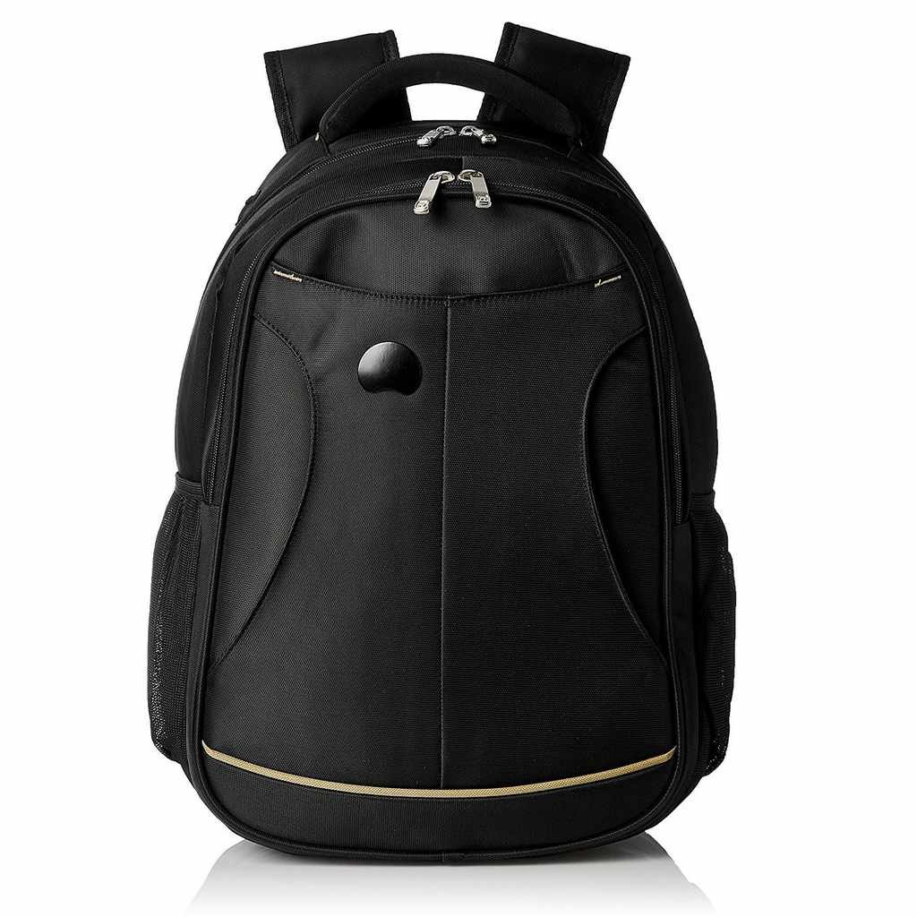 Delsey Lyon Laptop Backpack Sunrise Trading Co