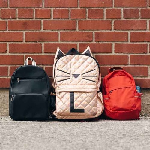 American Tourister Backpacks