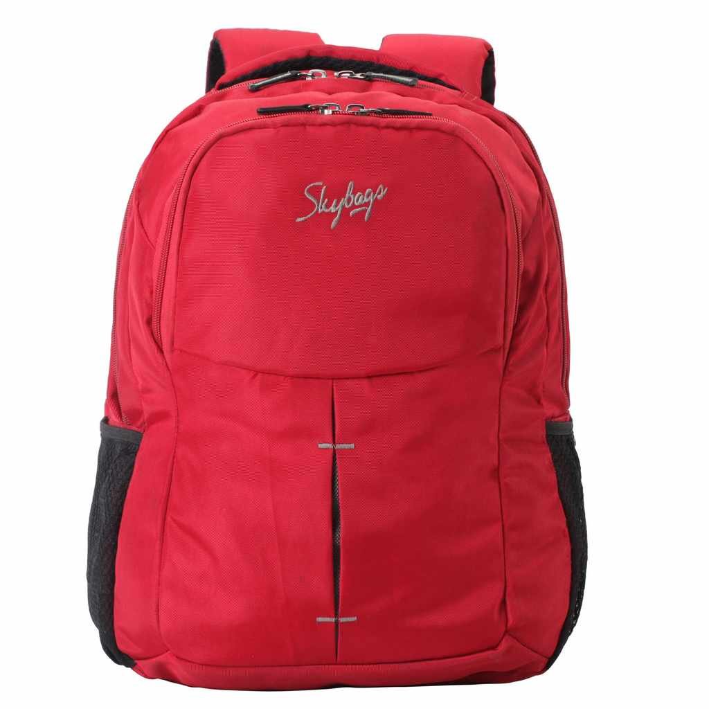 Biz Laptop Backpack (E) – Skybags