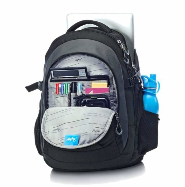 Buy Skybags Polyester Solid Chester Laptop Backpack Grey at Amazon.in