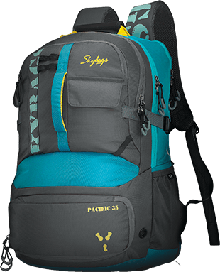skybags flash