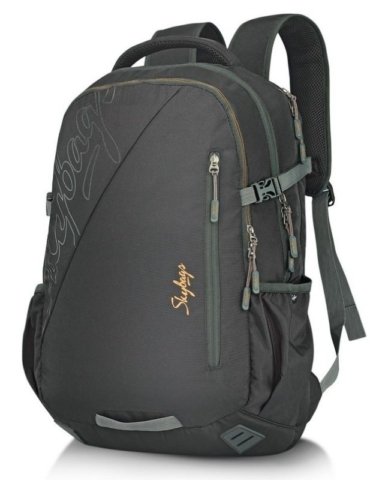 Skybags_FrontPage (6) Skybags Laptop Backpack in Bengaluru