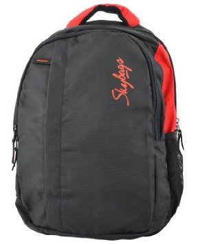 Skybags_FrontPage (9) Skybags Laptop Backpack in Bangalore