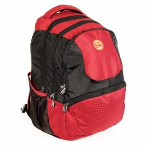 TLC Terminal Laptop Backpack Bag