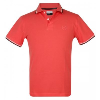 Tshirt Collar (13)