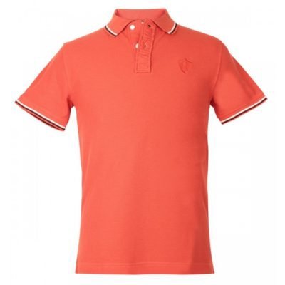Tshirt Collar (4)